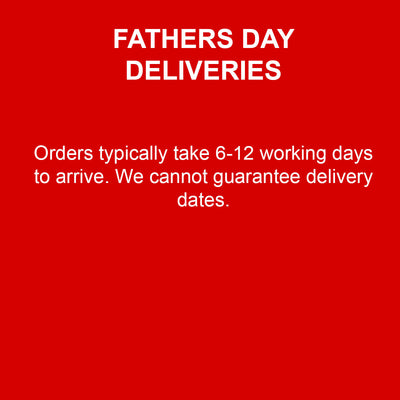 Fathers Day Personalised Watercolour Portrait