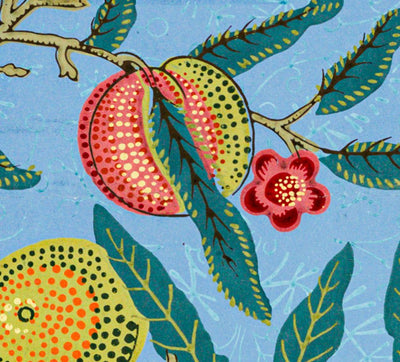"Four Fruits" by William Morris on Canvas, Framed Prints, Framed Canvas, Acrylic or Print-only